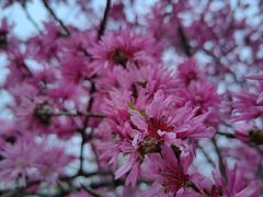 -汉长安城未央宫国家考古遗址公园