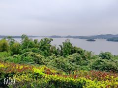 -天目湖涵田半山温泉
