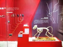 -国家自然博物馆