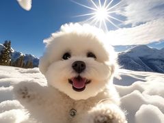 -食肆&Fourteen(武林夜市店)