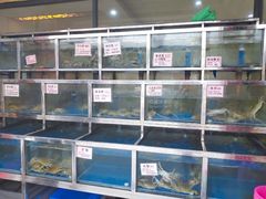 水产区-宏佳丰味蟹馆(洛溪店)