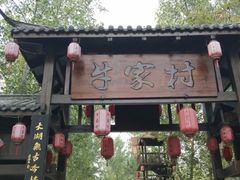 -合肥滨湖国家森林公园