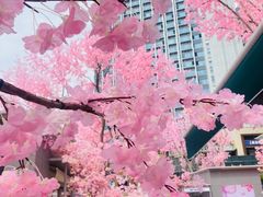 -首开·龙湖成都西宸天街