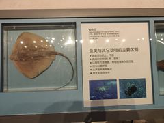 -舟山博物馆
