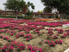 -广东花都香草世界旅游度假区