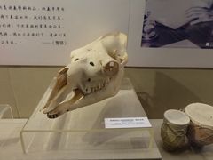 -湖州博物馆