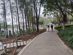 -顺峰山公园