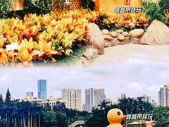-荔枝公园(福田区)