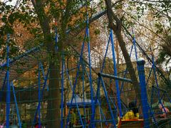 -西安市长乐公园