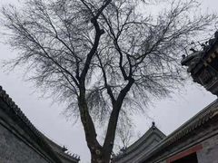 -恭王府博物馆