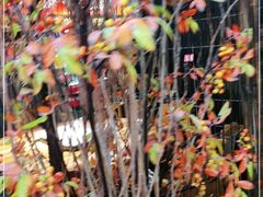 -要德火锅(鼓楼店)
