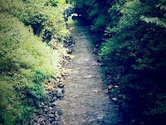 android_upload_pic-神龙峡风景区