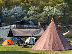 -大连天门山国家森林公园