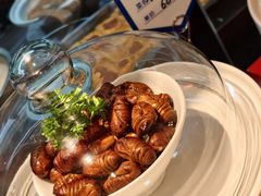 -鸽子窝(宋庄店)