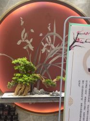 -雅曼妮spa美容养生