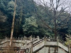 -碧峰峡风景区