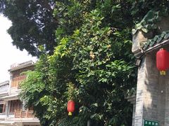 -荔湾湖公园