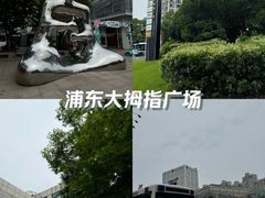 -证大大拇指广场(芳甸路店)