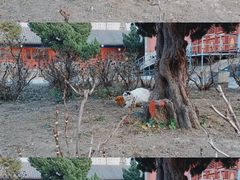 -大钟寺古钟博物馆