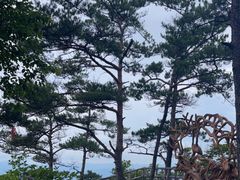 -五女山景区