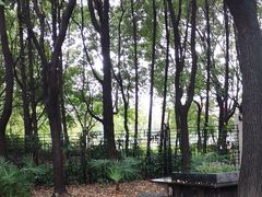 -华东师范大学第二附属中学(张江校区)