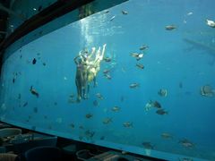 -瑞德姆美人鱼海底演艺主题餐厅(亚龙湾店)