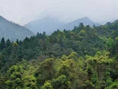 -姑婆山旅游区