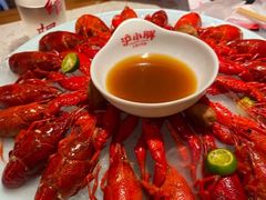 -沪小胖·小龙虾·蓝龙王(八佰伴店)