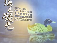 -上海博物馆(人民广场馆)