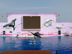 -北戴河圣蓝海洋公园