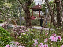 -琴亭湖公园