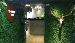 -V-STAR威斯达•高级私人定制