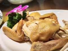-金苑酒家·客家菜·广东老字号(万象店)