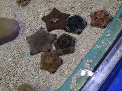 -重庆欢乐海底世界