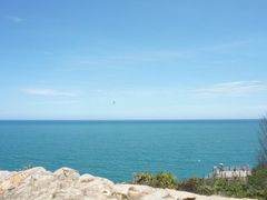 -广东惠东海龟国家级自然保护区