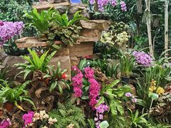 -石家庄市植物园
