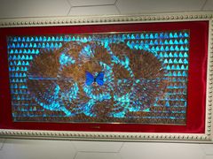 -上海昆虫博物馆