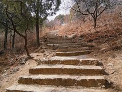 -北京西山国家森林公园