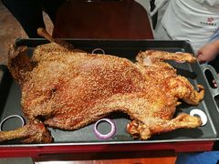 -九十九顶毡房(阜石路店)