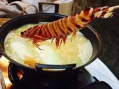 -鲜入围煮花胶鸡海鲜火锅