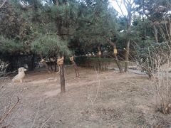 -贮水山儿童公园