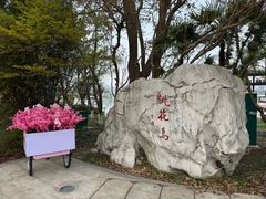 -金鸡湖桃花岛