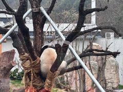 -无锡动物园·太湖欢乐园
