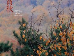 -北京西山国家森林公园