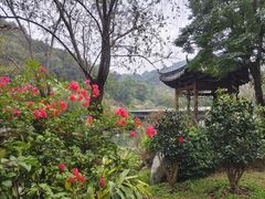 -云溪植物园