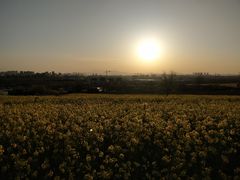 -西海岸生态观光园
