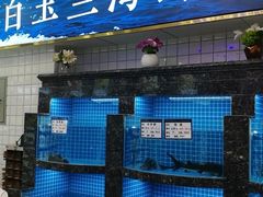 -白玉兰小吃(新村路店)