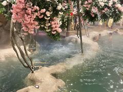 室内温泉-中铁花水湾温泉酒店(大邑店)