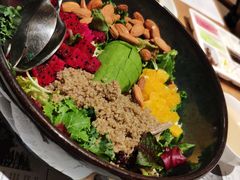 芥子酱羽翼甘蓝沙拉-小大董·烤鸭(凤凰汇店)