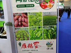 -郑州国际会展中心